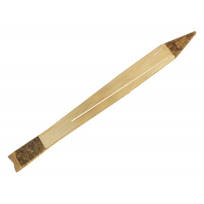  Guimbarde poisson Vietnam  Dan Moi